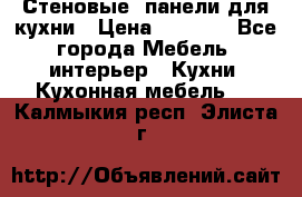 Стеновые  панели для кухни › Цена ­ 1 400 - Все города Мебель, интерьер » Кухни. Кухонная мебель   . Калмыкия респ.,Элиста г.